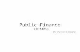 Public Finance (MPA405) Dr. Khurrum S. Mughal. Lecture 18: Government Subsidies and Income Support for the Poor Public Finance.