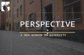 PERSPECTIVE: A NEW WINDOW ON DIVERSITY. Workshop Overview 1.About This Course 2.About Diversity 3.About Humanity 4.About Leverage 5.Building a Diverse.