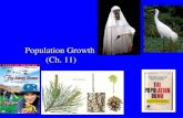 Population Growth (Ch. 11). Population Growth 1) Geometric growth 2) Exponential growth 3) Logistic growth.