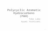 Polycyclic Aromatic Hydrocarbons (PAH) Tobe Labo Ayumi Yoshizaki 1.