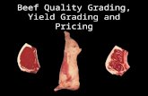 Beef Quality Grading, Yield Grading and Pricing. Slaughter By-Products ($/cwt) $66/cwt$109/cwt Fab/Processing Credit Items: Fat $8.50/cwt Bone $5/cwt.