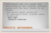 SPECIFIC DETERRENCE Individuals who are caught and sanctioned by the criminal justice system will be less likely to re-offend ◦Does prison reduce recidivism?