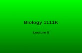 Biology 1111K Lecture 5. Slide 2 - genetics Slide 3 - Alleles.