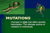 MUTATIONS Changes in DNA that affect genetic information. The ultimate source of variation in individuals.