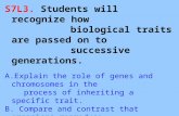 S7L3. Students will recognize how biological traits are passed on to successive generations. A.Explain the role of genes and chromosomes in the process.