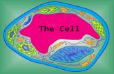 The Cell. Definition of Cell note: only write down text in red A cell is the smallest unit that is capable of performing life functions.