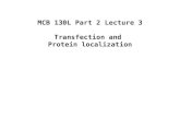 MCB 130L Part 2 Lecture 3 Transfection and Protein localization.
