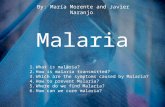 Malaria By: María Morente and Javier Naranjo. 1.What is malaria? 2.How is malaria transmitted? 3.Which are the symptoms caused by Malaria? 4.How to prevent.