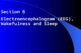 Section 6 Electroencephalogram (EEG), Wakefulness and Sleep