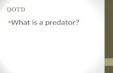 QOTD What is a predator?. PREDATION and PARASITISM Mr.Dunnum.