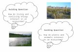 Guiding Question How do living and nonliving things interact in an ecosystem? Guiding Question How do plants and animals interact in an ecosystem?