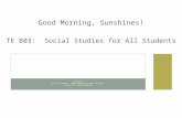 SESSION 5 CIVICS/ECONOMICS, WORK SESSION FOR PARTS IV AND V INSTRUCTOR: AMANDA BAUMANN Good Morning, Sunshines! TE 803: Social Studies for All Students.