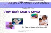 C.H.I.L.D Foundation (708) 403-4100  BLUE CAP AUTISM CONFERENCE October 26, 2004 From Brain Stem to Cortex Dr. Valerie Scaramella-Nowinski.
