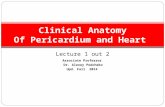 Lecture 1 out 2 Clinical Anatomy Of Pericardium and Heart Associate Professor Dr. Alexey Podcheko Upd. Fall 2014.