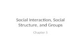Social Interaction, Social Structure, and Groups Chapter 5