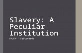 Slavery: A Peculiar Institution APUSH - Spiconardi.