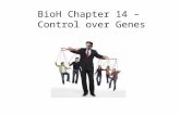 BioH Chapter 14 – Control over Genes. Control of Gene Expression Cells are selective about which genes they require This depends upon:  Cell type  Specific.