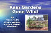 Rain Gardens Gone Wild! By Frank Reilly Prince William County Master Gardener.