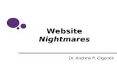 Dr. Andrew P. Ciganek WebsiteNightmares. Why Examine User Interface? Developers often lack user interface expertise –Many “mistakes” are quite common.