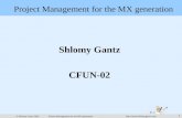 1 © Shlomy Gantz 2002 Project Management for the MX generation  Project Management for the MX generation Shlomy Gantz CFUN-02.