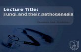 Lecture Title: Fungi and their pathogenesis (Foundation Block, Microbiology)