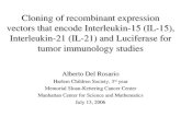 Cloning of recombinant expression vectors that encode Interleukin-15 (IL-15), Interleukin-21 (IL-21) and Luciferase for tumor immunology studies Alberto.