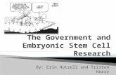 By: Erin Hutzell and Triston Harry.  Should the government support/fund the research of embryonic stem cells? ◦ To answer the question:  Is embryonic.