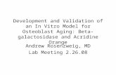 Development and Validation of an In Vitro Model for Osteoblast Aging: Beta- galactosidase and Acridine Orange Andrew Rosenzweig, MD Lab Meeting 2.26.08.