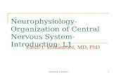 University of Jordan1 Neurophysiology- Organization of Central Nervous System- Introduction- L1 Faisal I. Mohammed, MD, PhD.