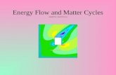 Energy Flow and Matter Cycles adapted by ccps.k12.va.us.