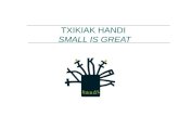 TXIKIAK HANDI SMALL IS GREAT. WHAT IS IT? Txikiak Handi (Small is Great) is an ongoing project from Nafarroa Oinez’ which was created to proclaim the.