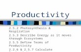 Productivity 2.5.2 Photosynthesis & Respiration 2.5.3 Describe Energy as it moves through Ecosystems 2.5.5 Define Terms of Productivity 2.2.6 & 2.5.7 Calculate.