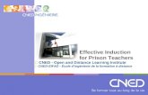 Effective Induction for Prison Teachers CNED - Open and Distance Learning Institute CNED-EIFAD - École d’ingénierie de la formation à distance.