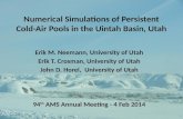 Numerical Simulations of Persistent Cold-Air Pools in the Uintah Basin, Utah Erik M. Neemann, University of Utah Erik T. Crosman, University of Utah John.