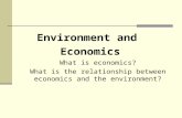 What is economics? What is the relationship between economics and the environment? Environment and Economics.