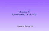 Chapter 4: Introduction to PL/SQL Guide to Oracle 10g.