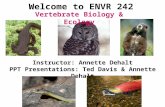Welcome to ENVR 242 Instructor: Annette Dehalt PPT Presentations: Ted Davis & Annette Dehalt Vertebrate Biology & Ecology.