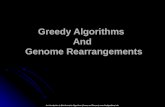 Greedy Algorithms And Genome Rearrangements An Introduction to Bioinformatics Algorithms (Jones and Pevzner) .