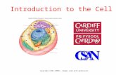 Introduction to the Cell Copyright CSAN (2005), Images used with permission.