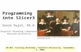 Programming into Slicer3. Sonia Pujol, Ph.D., Harvard Medical School -1- National Alliance for Medical Image Computing Programming into Slicer3 Sonia Pujol,