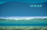 Location These are all the locations of the Oceans. Pacific Ocean Atlantic Ocean Indian Ocean Arctic Ocean Southern Ocean.