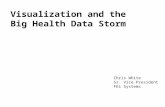 Visualization and the Big Health Data Storm Chris White Sr. Vice President FEi Systems.