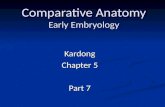 Comparative Anatomy Early Embryology Kardong Chapter 5 Part 7.