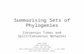 Summarising Sets of Phylogenies Consensus Trees and Split/Consensus Networks Aidan Budd EMBL Heidelberg Friday July 2nd 2010 Basic Molecular Evolution.