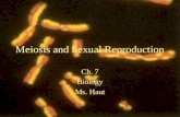 Meiosis and Sexual Reproduction Ch. 7 Biology Ms. Haut.