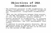 Objectives of DNA recombination The different processes of DNA recombination: homologous recombination, site-specific recombination, transposition, illegitimate.