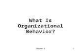 Chapter 11 What Is Organizational Behavior?. 2 Levels of OB Analysis Individuals Groups Structures.