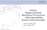 © 2005-2006 The ATHENA Consortium. Cross- Organizational Business Processes - Interoperability Issues and Concepts Ulrike Greiner, SAP Sonia Lippe, SAP.