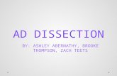 AD DISSECTION BY: ASHLEY ABERNATHY, BROOKE THOMPSON, ZACH TEETS.