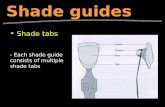Shade guides Shade tabs - Each shade guide consists of multiple shade tabs